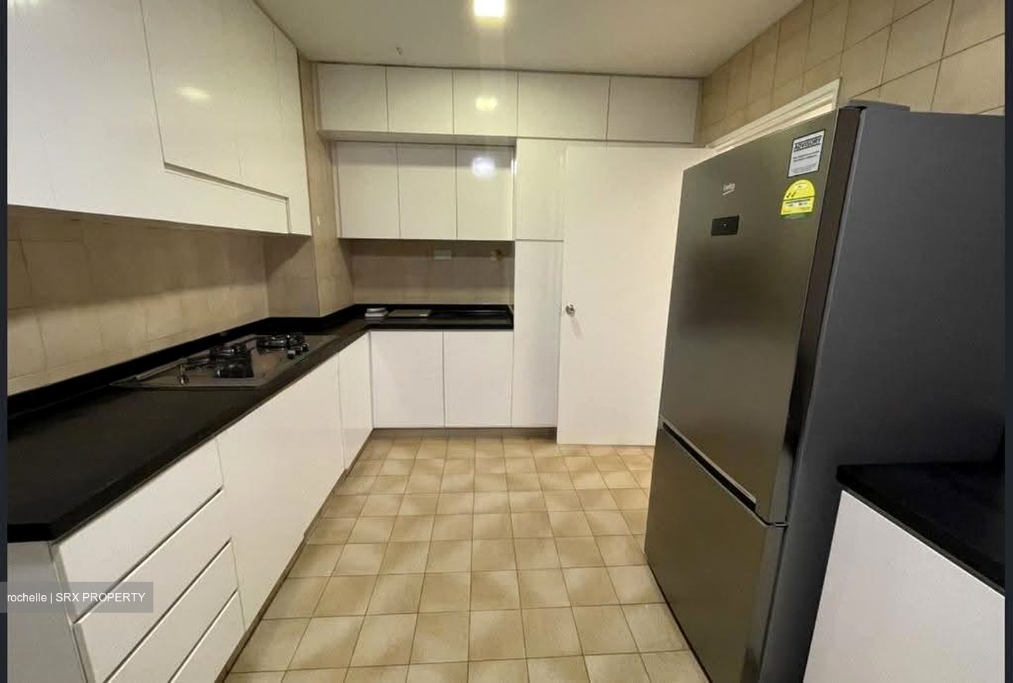 The Cairnhill (D9), Condominium #617174571